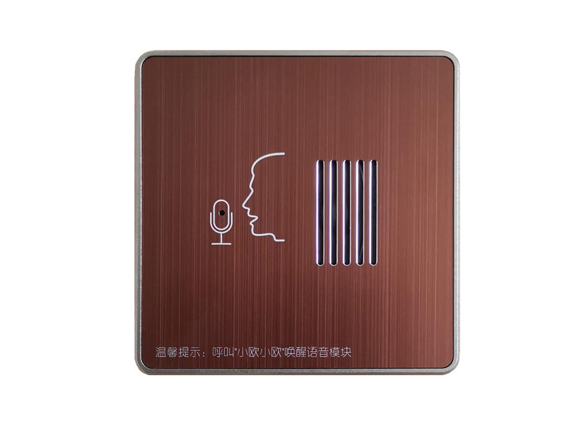 语音控制模块